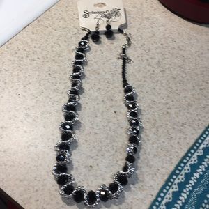 Super cute black and silver necklace and earrings